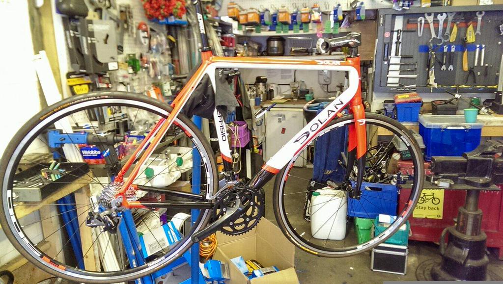 Dolan preffisio hot sale frameset