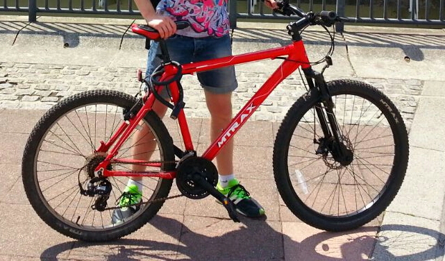raleigh m trax mountain bike