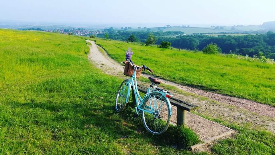 pendleton mint green bike