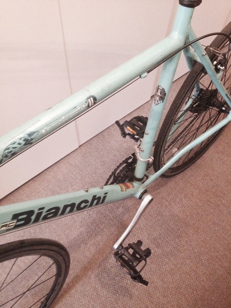 Stolen Bianchi Camaleonte ii 2008