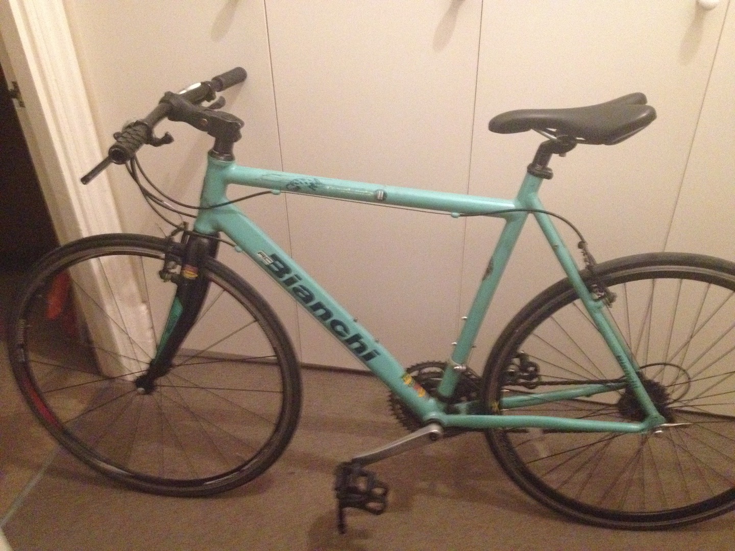 Stolen Bianchi Camaleonte ii 2008