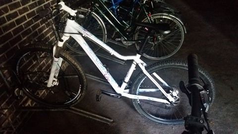 giant liv tempt mountain bike