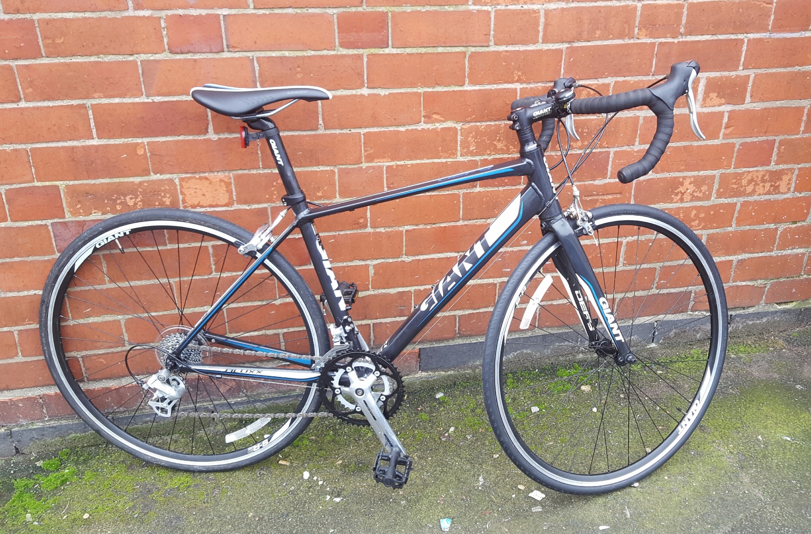 giant defy 5 price