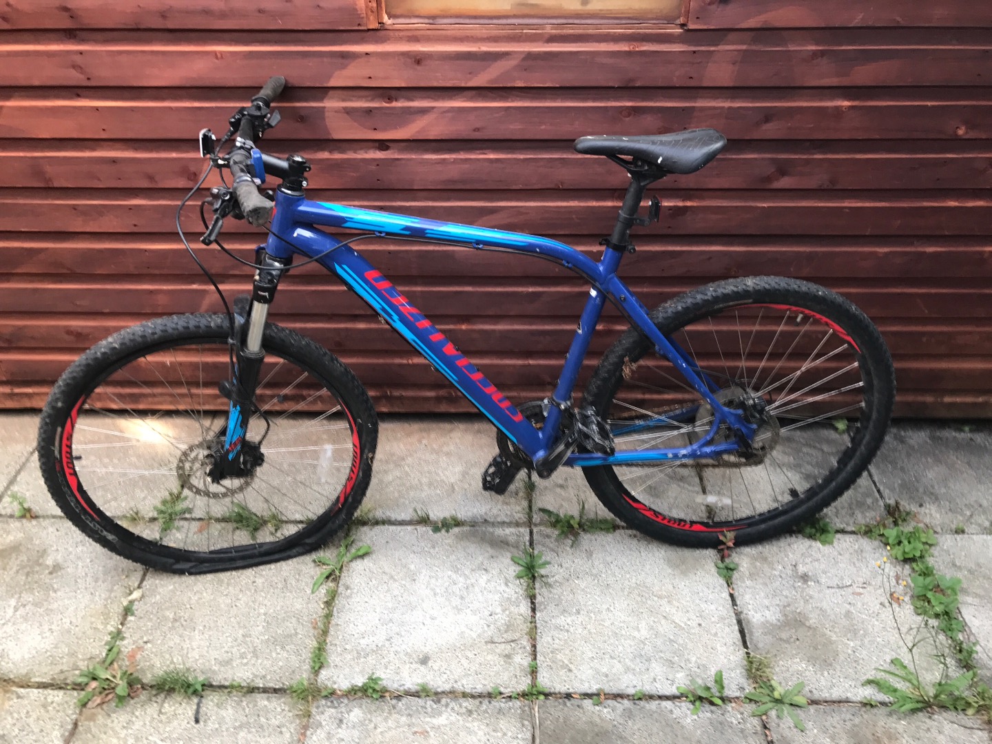 specialized pitch comp blue