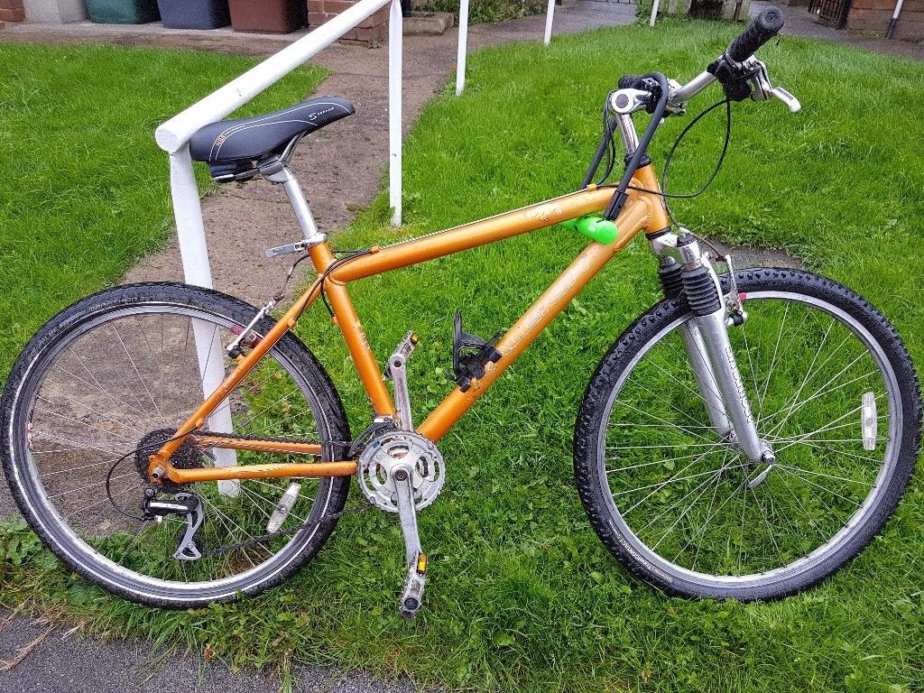 Stolen Raleigh Bob