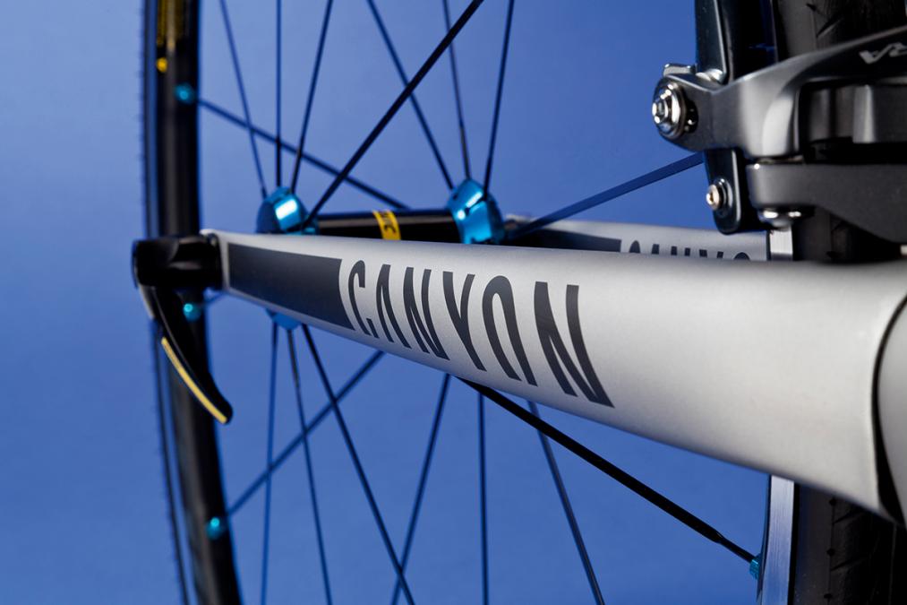 canyon lux 120mm fork