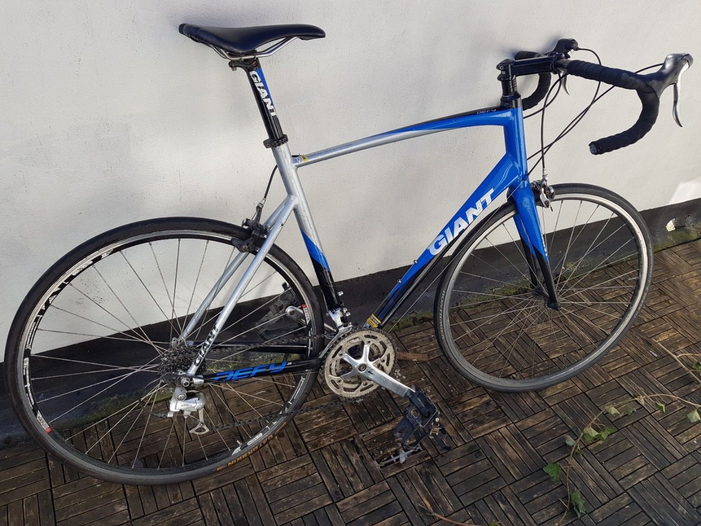 giant defy serial number to find age