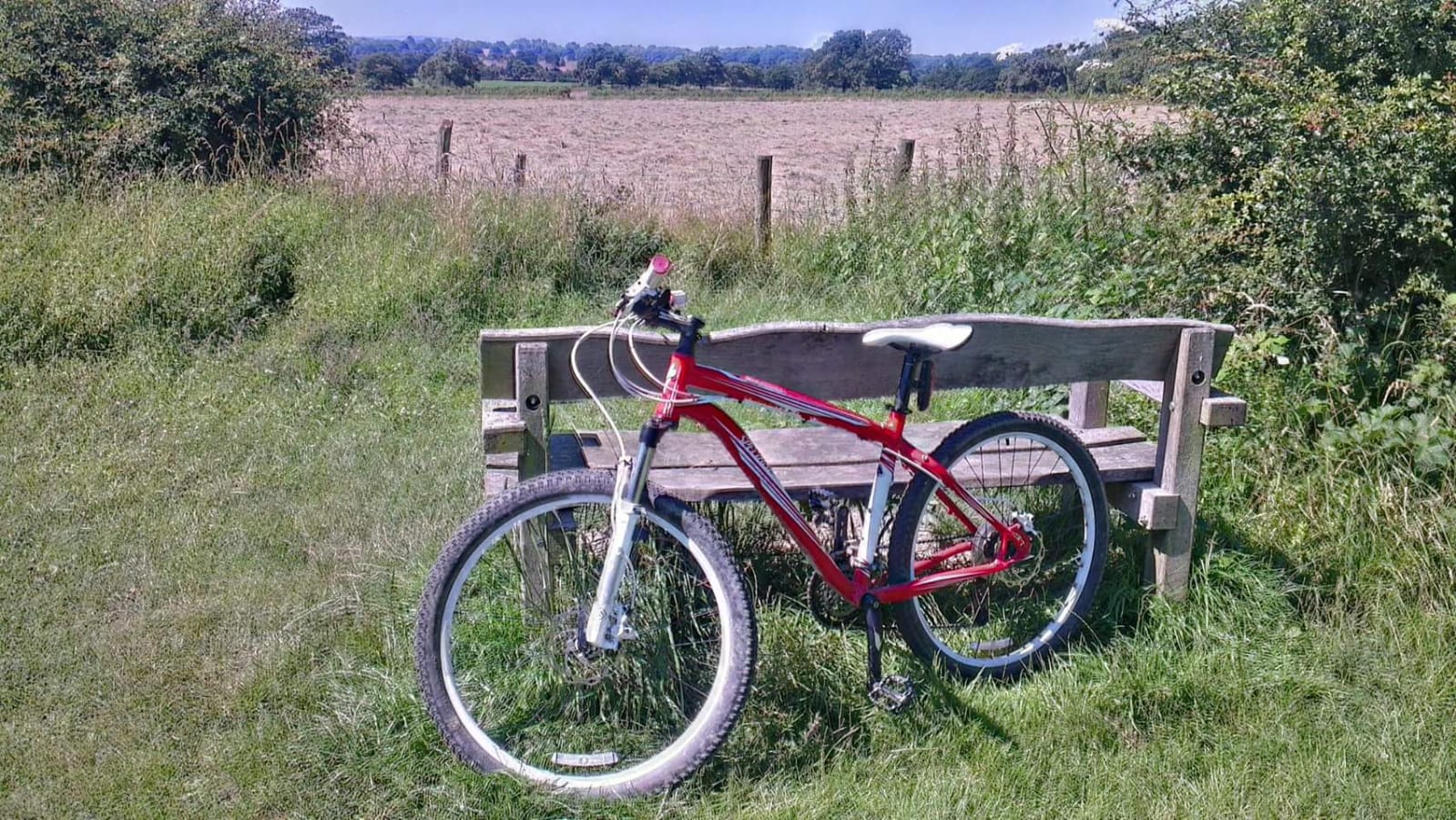 specialized rockhopper red white