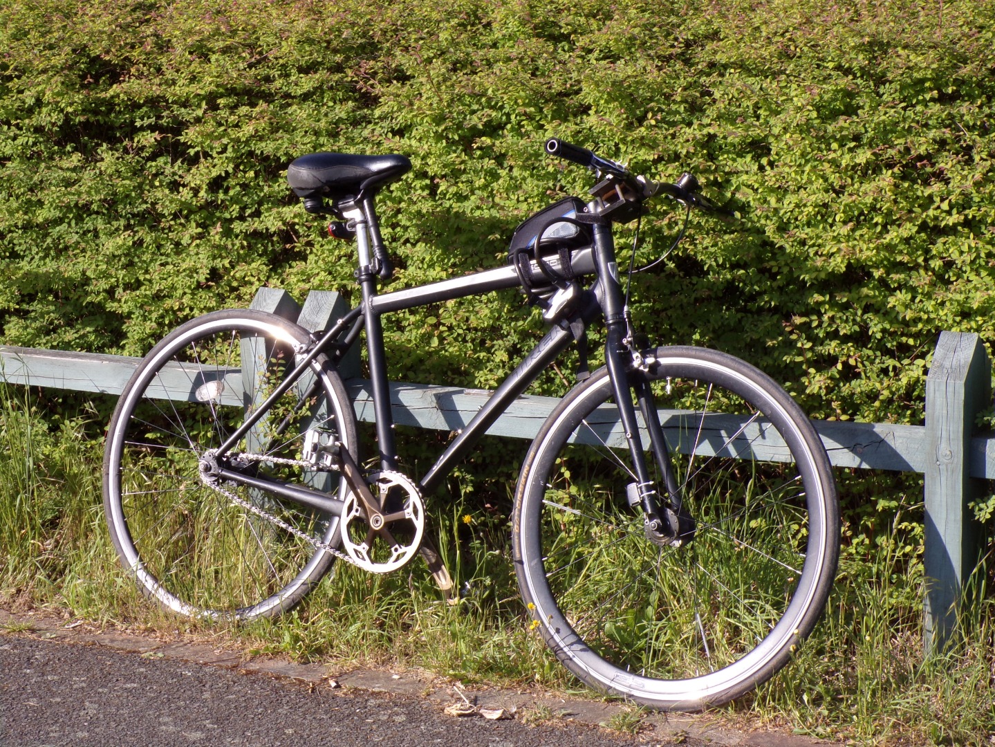 Trek soho deals single speed