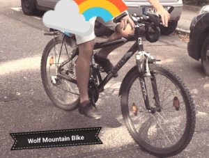 Blackfoot MountainBike WOLF