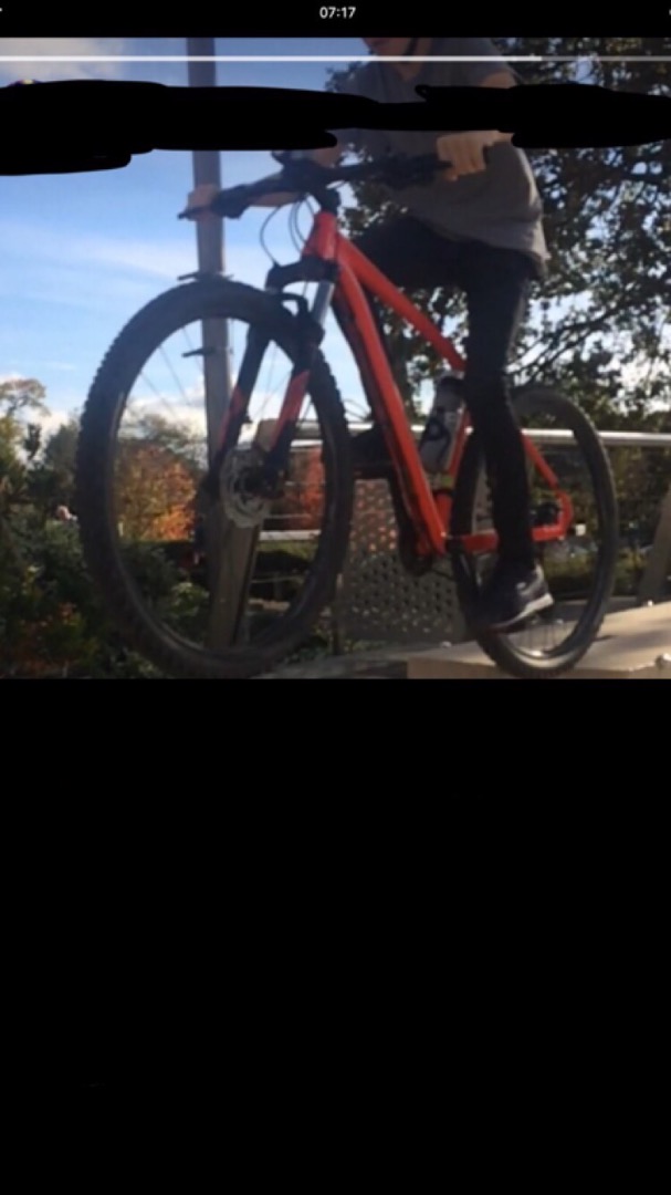 specialized rockhopper competition