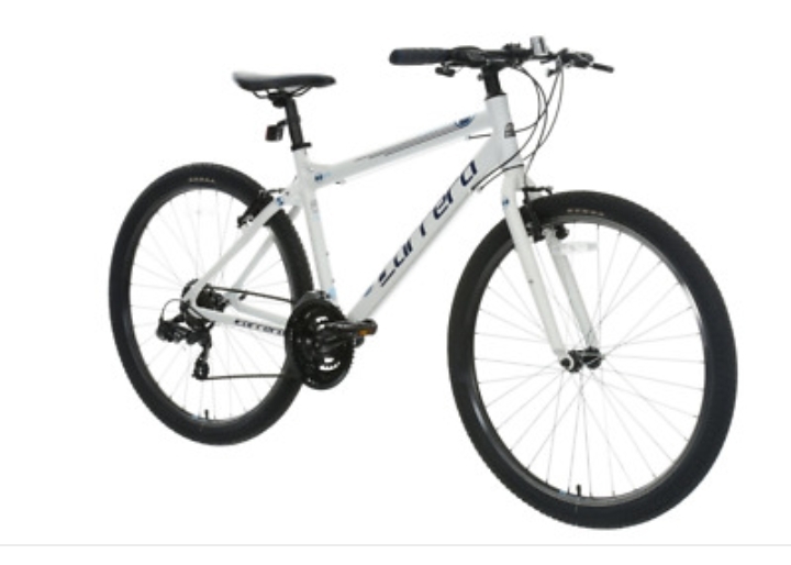 revolt bike 300 price