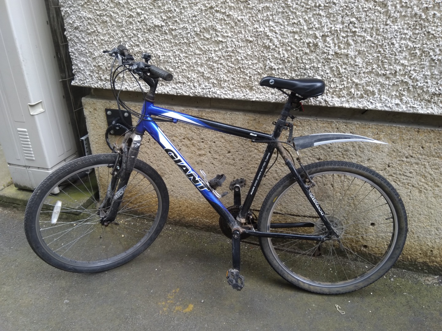 giant rock bicycle