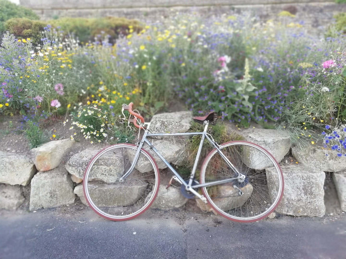 dawes diploma bike