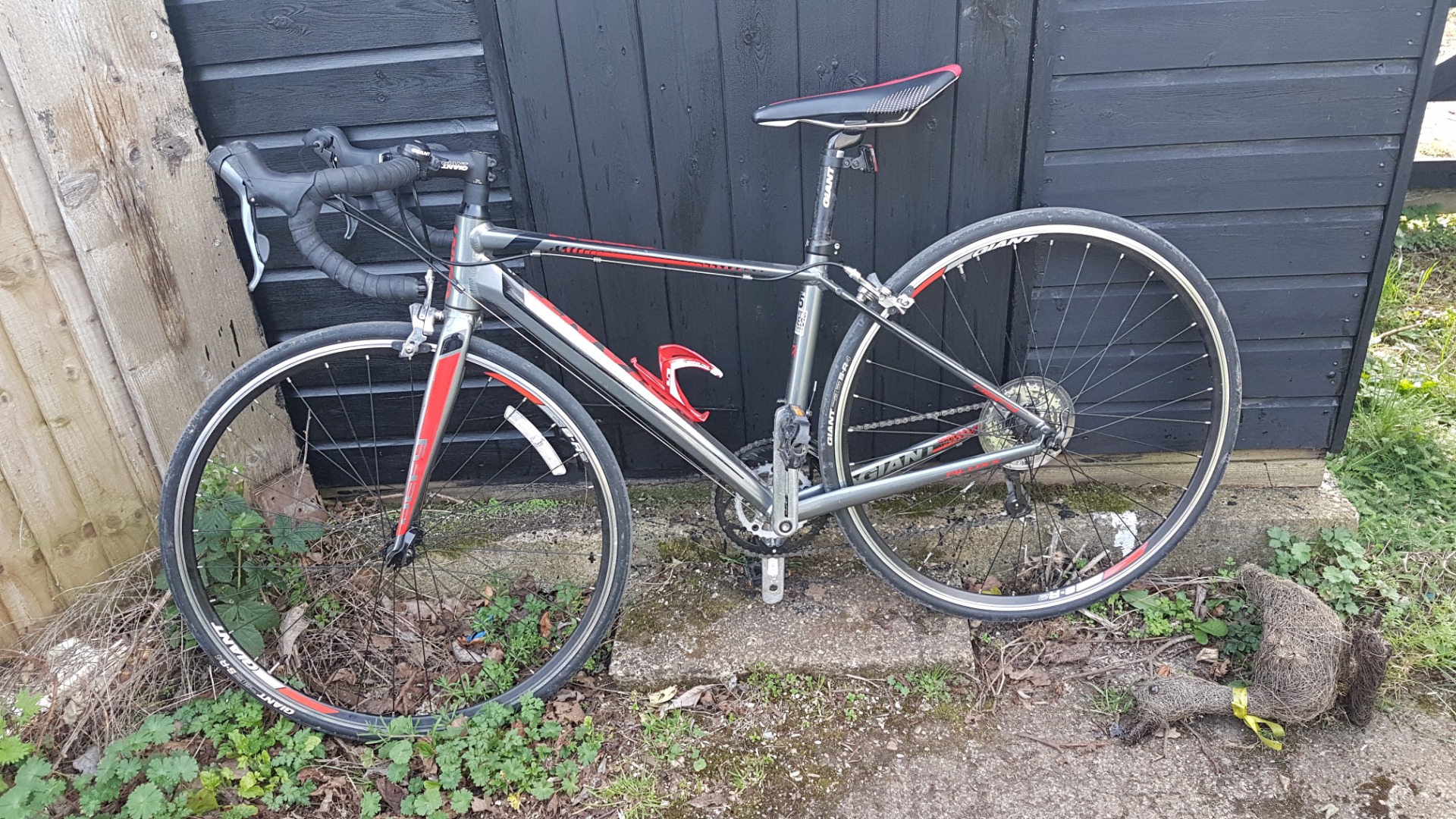 giant defy 5 price