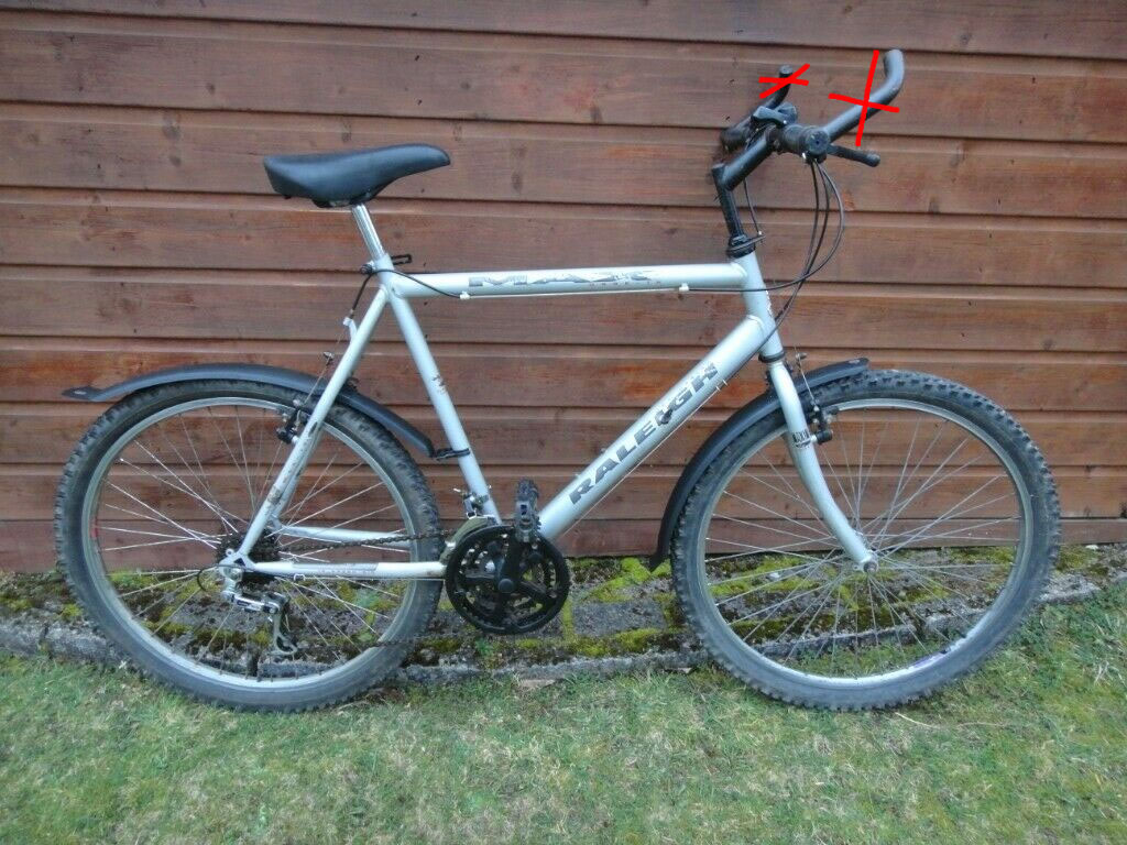 raleigh max
