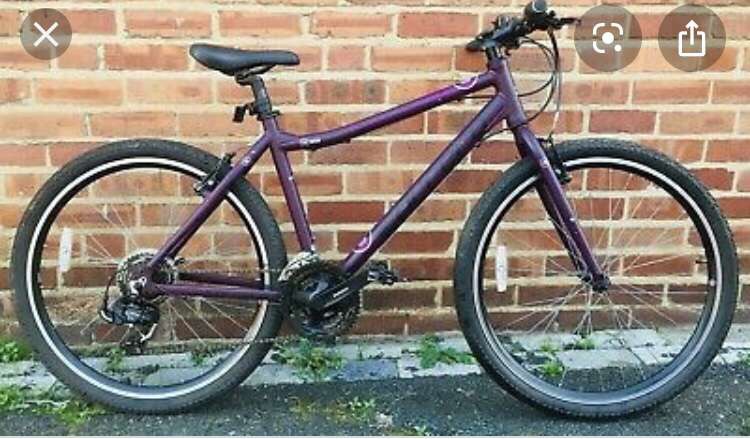 purple carrera bike