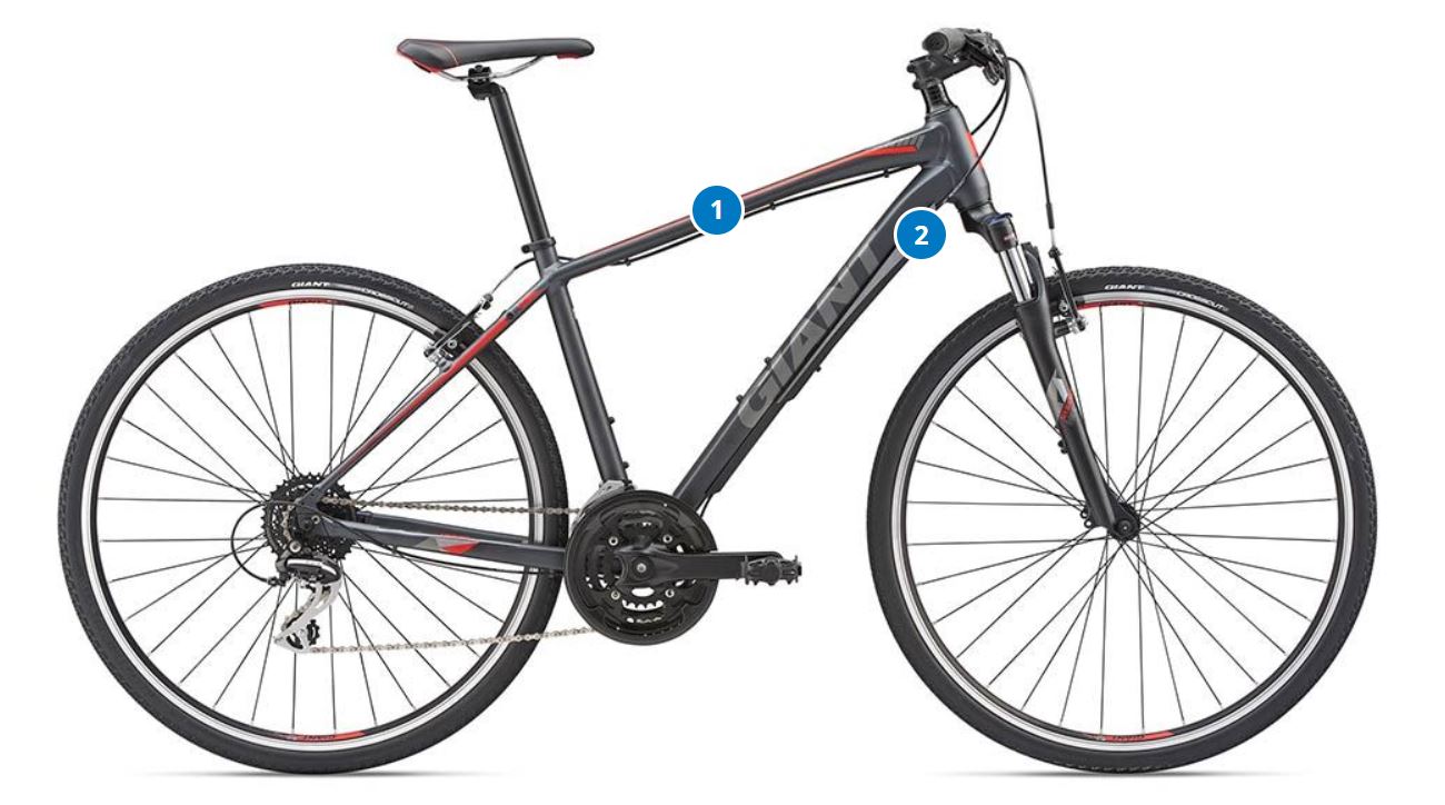 stolen-giant-roam-2-disc