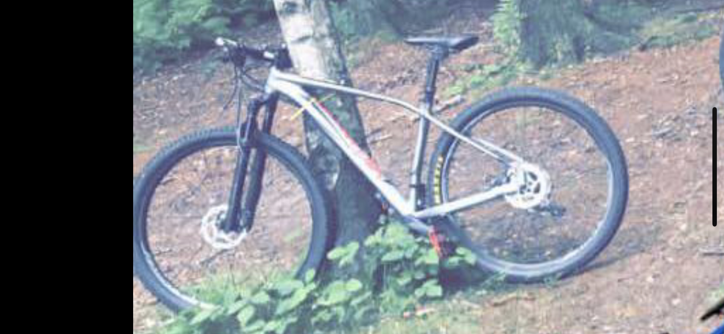 rockhopper hardtail