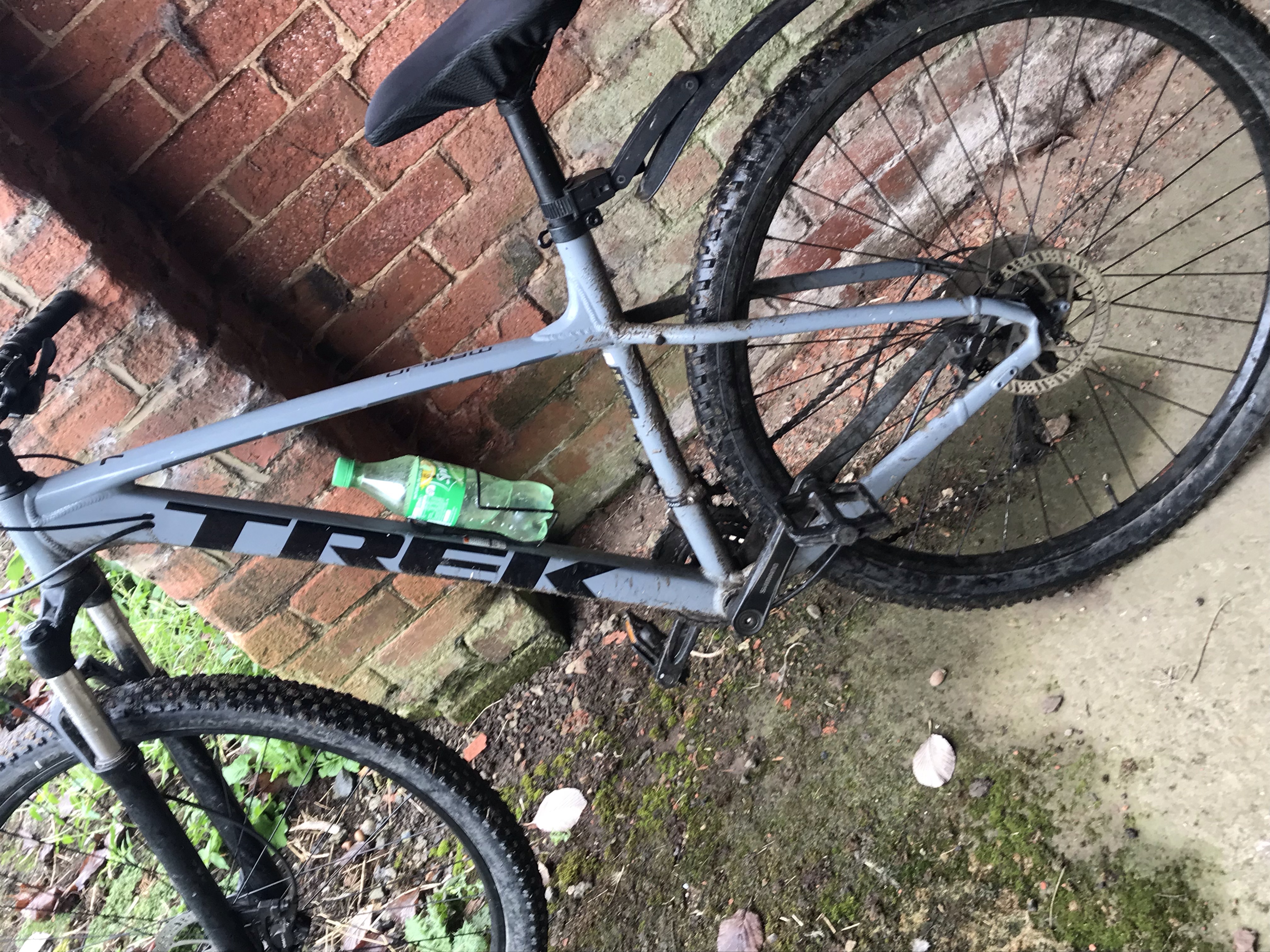 Trek marlin 7 discount 19.5