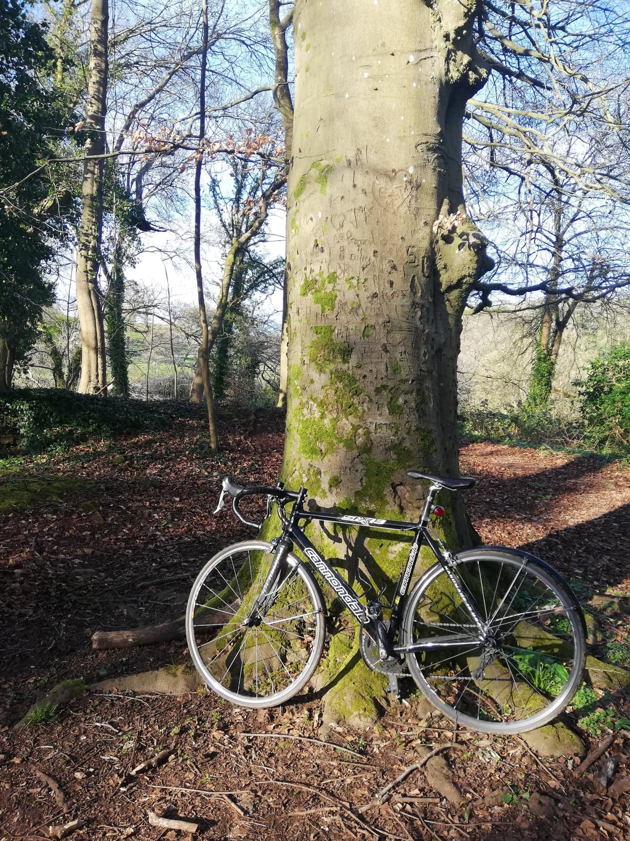 cannondale 14766