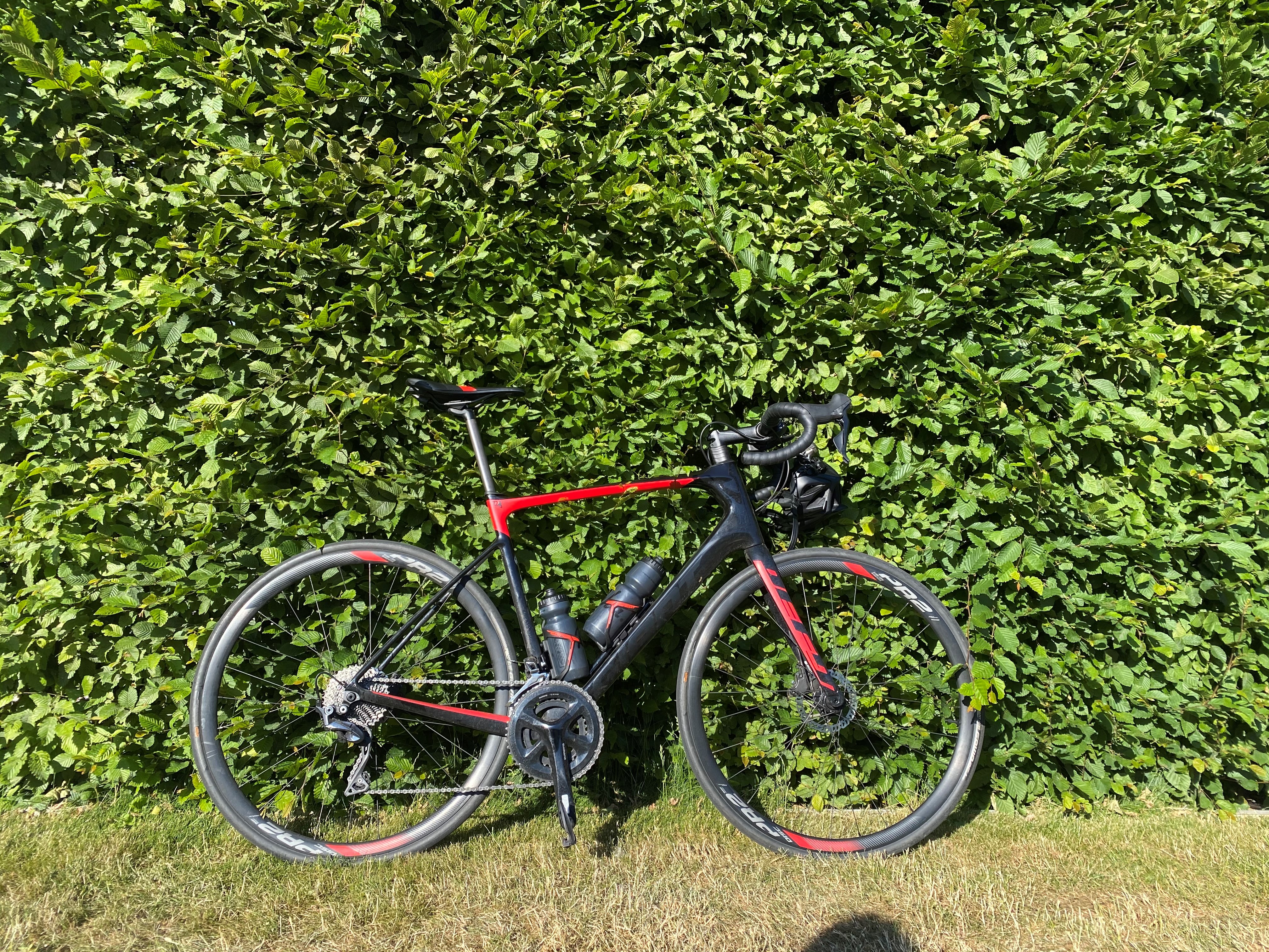 giant defy 1 2019