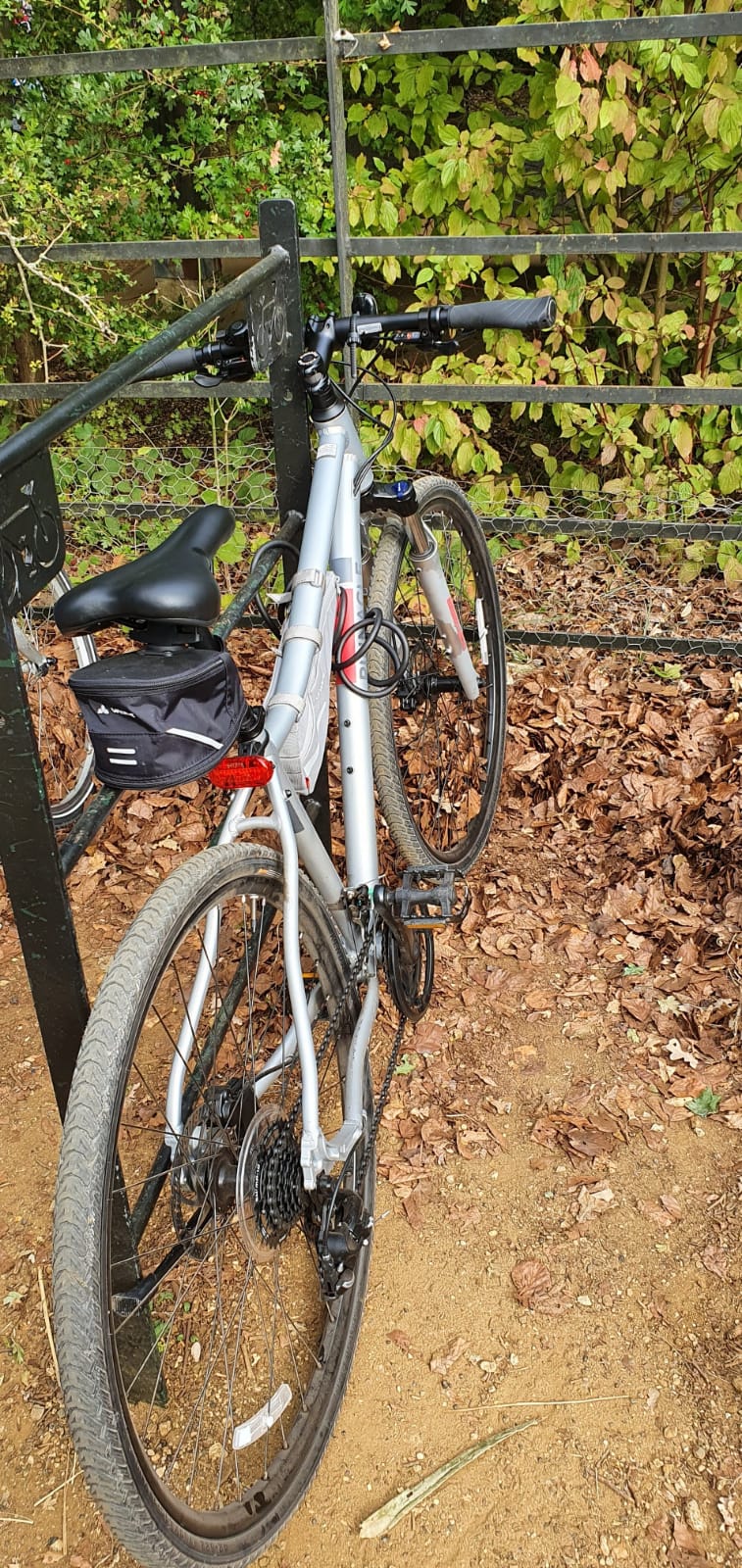 Stolen Pinnacle Cobalt 1 2020 Womens Hybrid