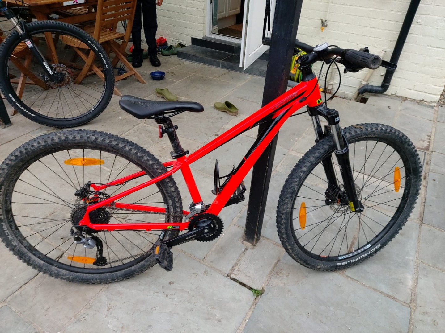 Cannondale trail best sale 8 2019