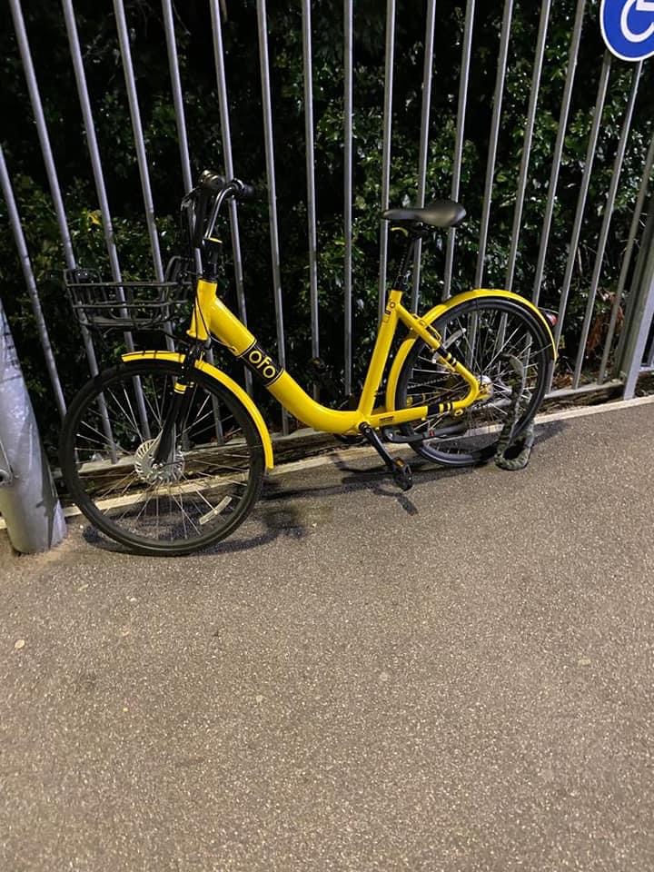 urban ofo bike