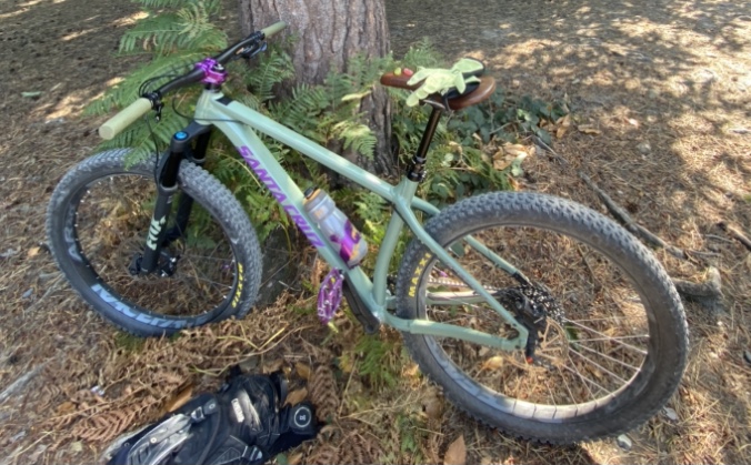 Stolen Santa Cruz Chameleon 2018