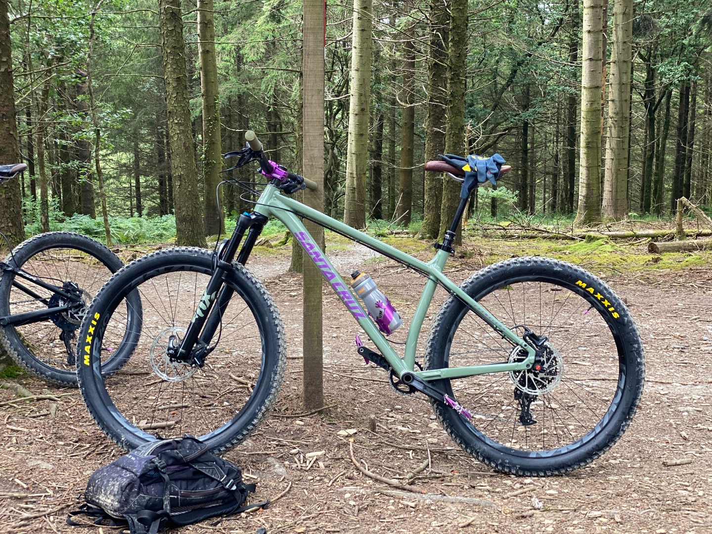 2018 chameleon best sale santa cruz