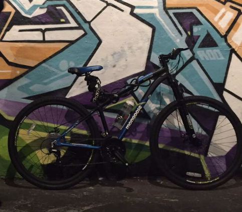 Mongoose 2025 sector 29er