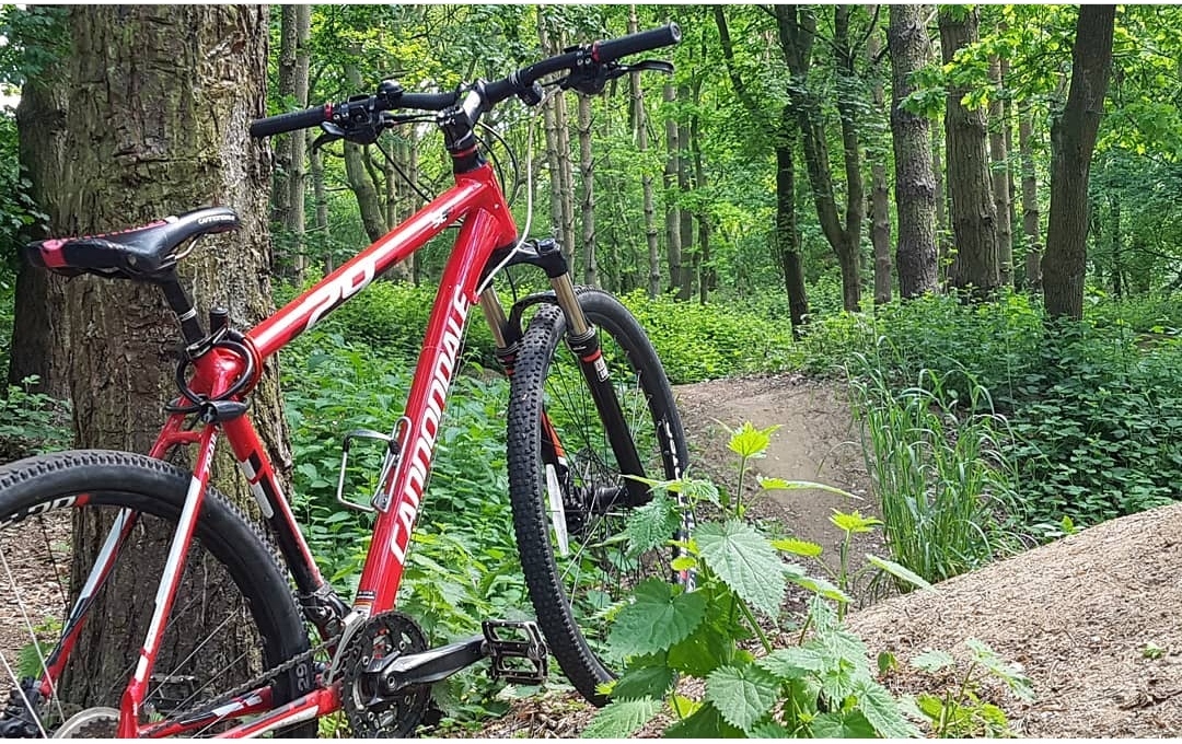 cannondale sl3 29er