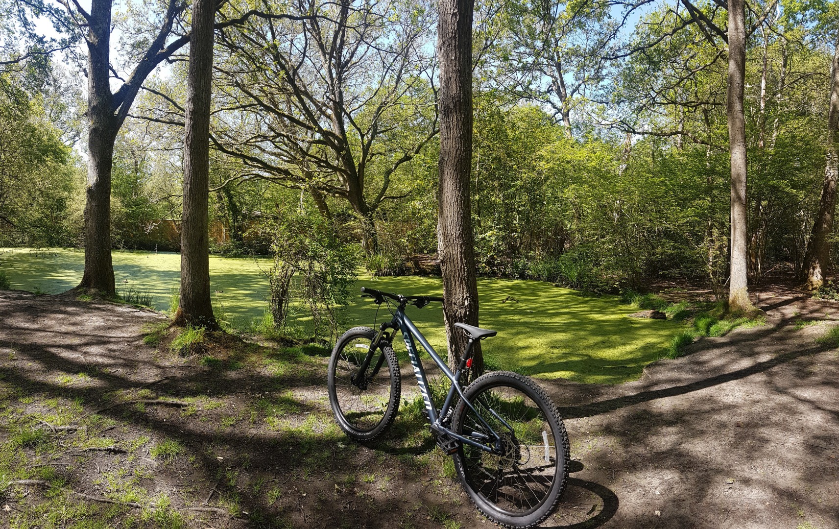 rockhopper hardtail