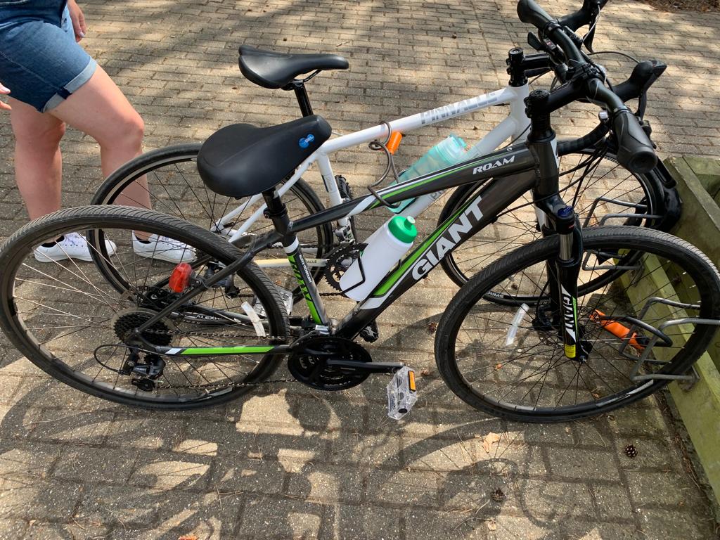 stolen-giant-roam-2