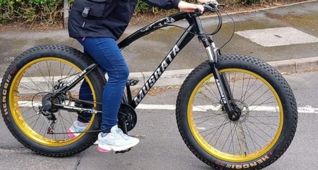 Stolen Musrata Fat tyre bike