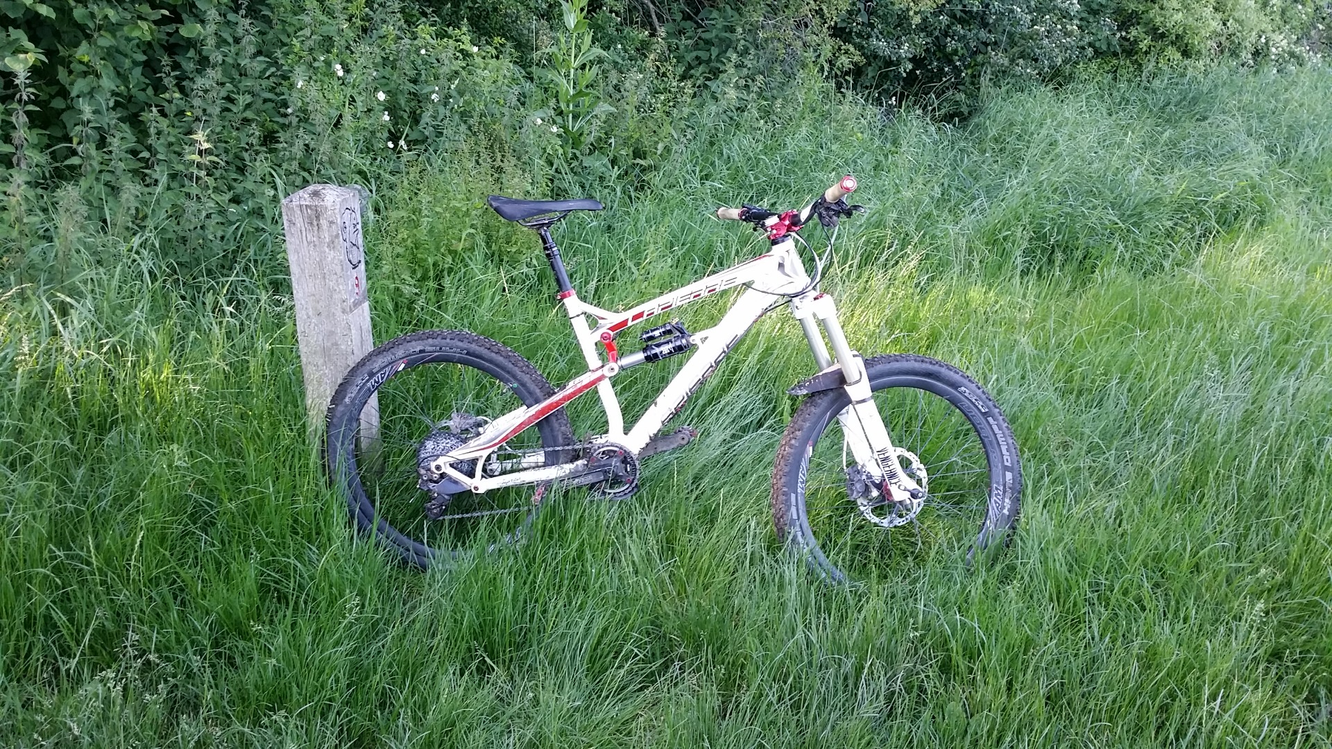 lapierre spicy 4.9